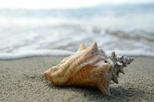 traitement Acouphènes par hypnose Thierry langou caen traitement Acouphènes par hypnose Thierry langou caen